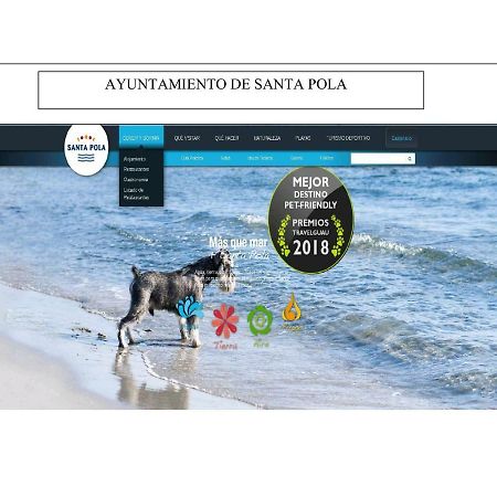 Playa 500M Y Centro Pueblo 600M, Piscina, 4 Clim, 2 Parkings Apartman Santa Pola Kültér fotó